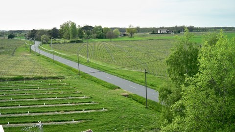 Les jouaninels, Fronton 31620