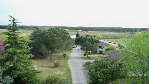 Les jouaninels, Fronton 31620